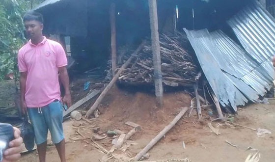 নালিতাবাড়ীতে বন্যহাতির তান্ডব