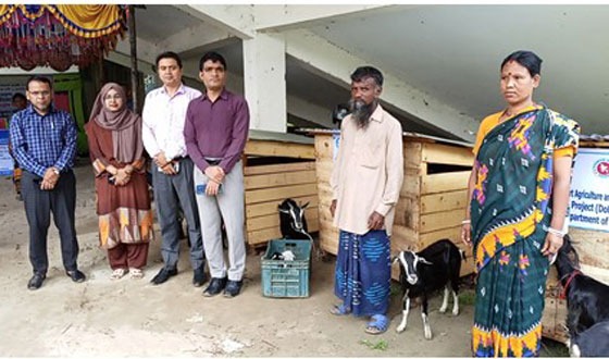 কাহারোলে ছাগল ও এস.এস কার্ভাড স্টাইবোফোন বক্স উপকরণ বিতরণ