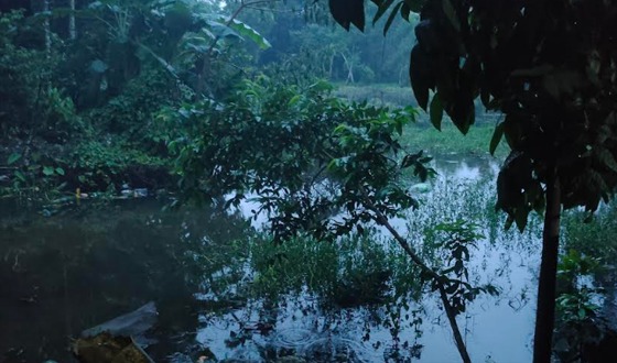 ঈদগাঁওতে জলাবদ্ধতায় দুই গ্রামের মানুষ চরম দুর্ভোগে