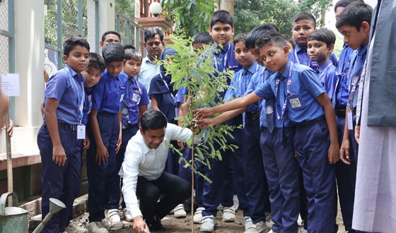সিংড়ায় বিশ্ব পরিবেশ দিবসে র‌্যালি, সভা ও বৃক্ষরোপন