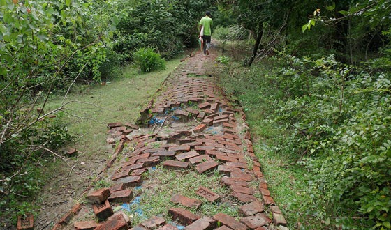 তালতলীতে ইকোপার্কের বেহাল দশা, এক যুগেও হয়নি সংস্কার