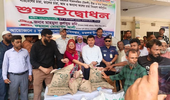 মতলব উত্তরে কৃষি প্রণোদনায় চারা ও বীজ বিতরণ