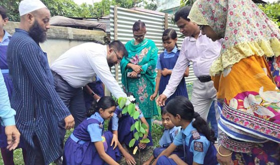 কালিহাতীতে ১৭০টি সরকারি প্রাথমিক বিদ্যালয়ে বৃক্ষরোপন