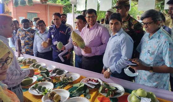 দৌলতপুরে তিন দিনব্যাপী জাতীয় ফল মেলা