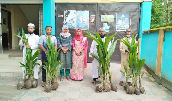 ফুলবাড়ীতে নারিকেল চারা পেল ৭০ শিক্ষা প্রতিষ্ঠান