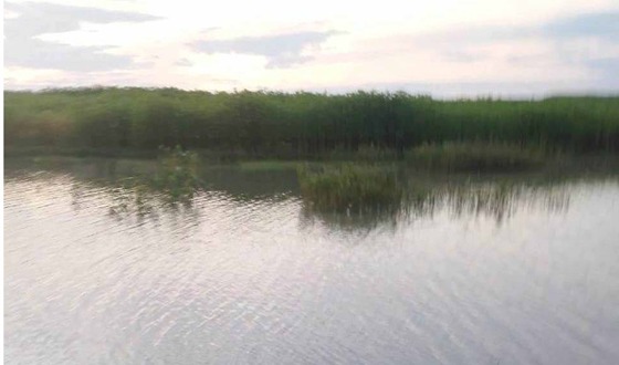 ব্রহ্মপুত্র নদে পানি বৃদ্ধি নিম্নাঞ্চল প্রাবিত