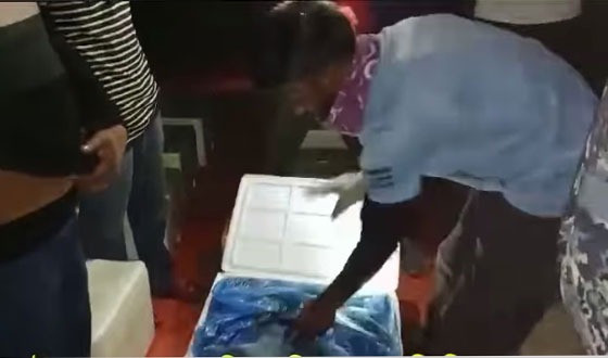 লৌহজংয়ে ৮০০ কেজি জেলি পুশকৃত চিংড়ি আটক