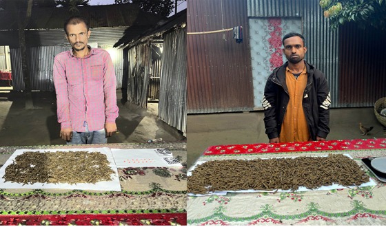 রাজারহাটে গাঁজা ও ইয়াবাসহ ২ মাদক ব্যবসায়ী আটক