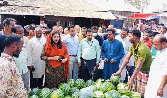 কাপাসিয়ায় প্রশাসনের উদ্যোগে দ্রব্যমূল্য নিয়ন্ত্রণ ও বাজার মনিটরিং