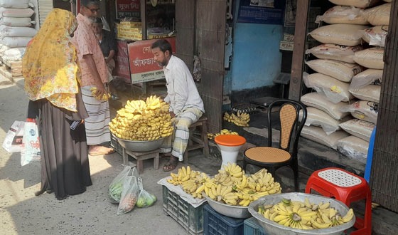 সুজানগরে কেমিক্যাল দিয়ে পাকানো কলা বিক্রির হিড়িক