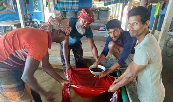 দেশী প্রজাতির মাছের রেনুপোনা উৎপাদন করে সফল উদ্যোক্তা