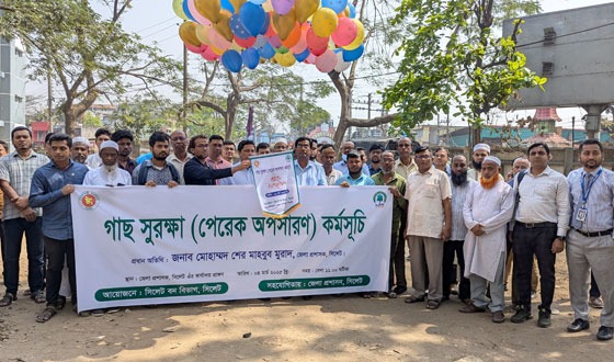 সিলেটে গাছের সুরক্ষায় মাসব্যাপী পেরেক অপসারণ কর্মসূচি শুরু