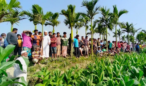 লালমনিরহাটে ভুট্টা ক্ষেতে থেকে নারীর মস্তকবিহীন লাশ উদ্ধার
