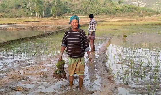 শেরপুরে নারী শ্রমিকরা মজুরি বৈষম্যের শিকার