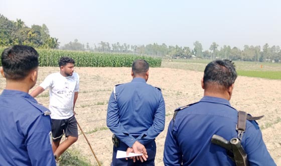 পীরগাছায় জোরকরে আলু তুলে নেওয়ার অভিযোগ