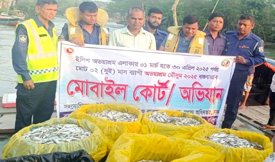 মেঘনায় বিপুল পরিমান জাটকা জব্দ