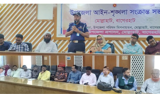 মোল্লাহাটে আইন-শৃঙ্খলা কমিটির সভা
