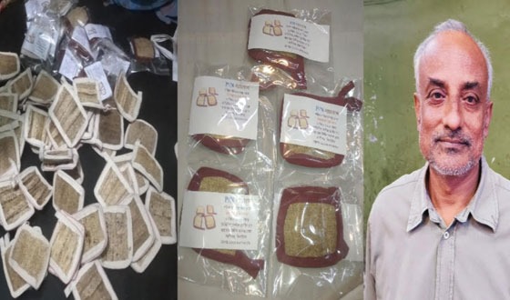 কালীগঞ্জে প্রাকৃতিক লুফা তৈরিতে সফল নিখিল দত্ত