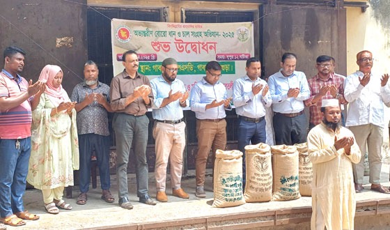 গাবতলীতে অভ্যন্তরীণ বোরো ধান ও চাল সংগ্রহ উদ্বোধন