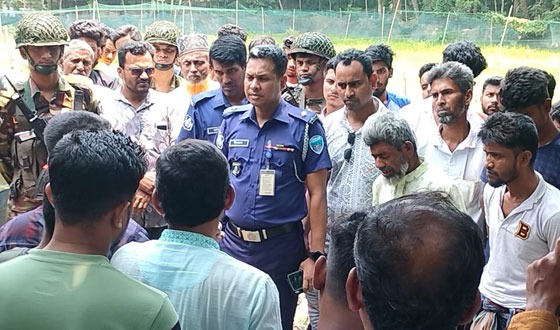 সেনবাগে ভাতিজার হাতে চাচা খুন, গ্রেফতার ১