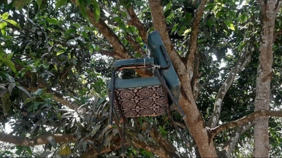 রাজশাহীতে বিএনপির দুই পক্ষের দ্বন্দ্বের জেরে প্রধান শিক্ষককে কক্ষে তালা