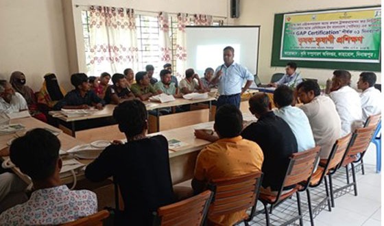 কাহারোলে দিনব্যাপী কৃষক-কৃষাণী প্রশিক্ষণ অনুষ্ঠিত