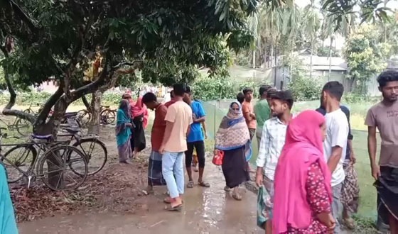 গরুকে বাঁচাতে গিয়ে বিদ্যুৎস্পৃষ্টে মা-ছেলের মৃত্যু