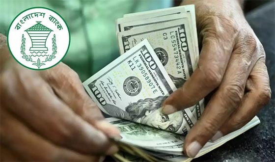 চলতি মাসের ১৭ দিনেই এসেছে ১৬১ কোটি ডলার, ৯ ব্যাংক রেমিট্যান্সে শূন্য
