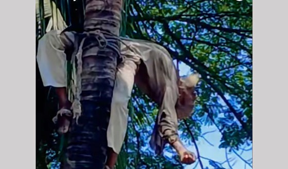 নাঙ্গলকোটে বিদ্যুৎপৃষ্টে প্রাণ গেল শ্রমিকের