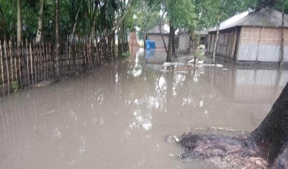 জলাবদ্ধতায় পানিবন্দী একটি গ্রামের ১৫টি পরিবার