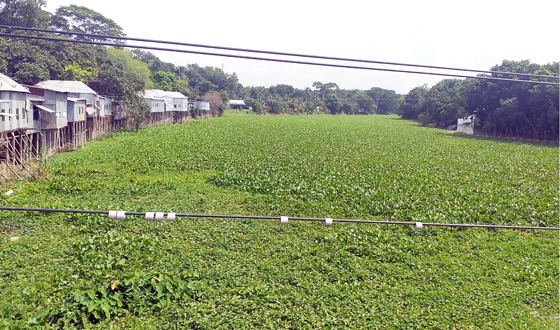 চরভদ্রাসন ভুবেন্বশ্বর নদ পরিস্কারের উদ্যোগ নিয়েছেন ইউএনও