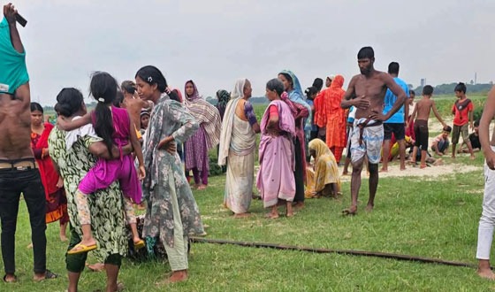 গজারিয়ায় জোয়ারের পানির তোড়ে ভেসে গেল শতাধিক গরু