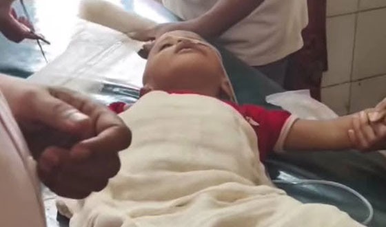 সেনবাগে ট্রাক চাপায় শিশু নিহত