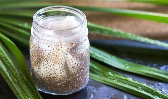 জেনে নিন ডাবের পানিতে চিয়া সিড ভিজিয়ে খাওয়ার উপকারিতা