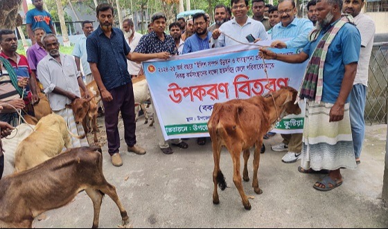 দৌলতপুরে হতদরিদ্র জেলেদের মাঝে গরুর বাছুর বিতরণ