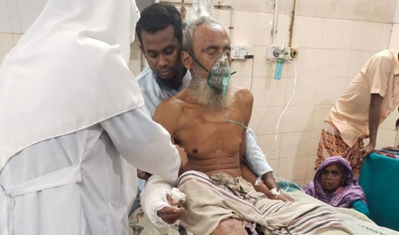 লিচু পাড়তে গিয়ে প্রাণ গেল বৃদ্ধের