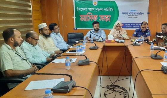 নাসিরনগরে আইন-শৃঙ্খলা কমিটির মাসিক সভা
