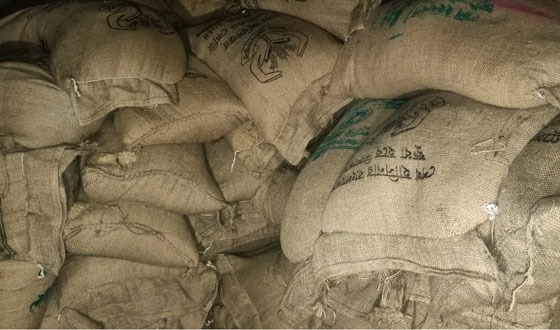 ইসলামপুরে ৬শত ৩ বস্তা সরকারি ভিজিডি চাল আটক