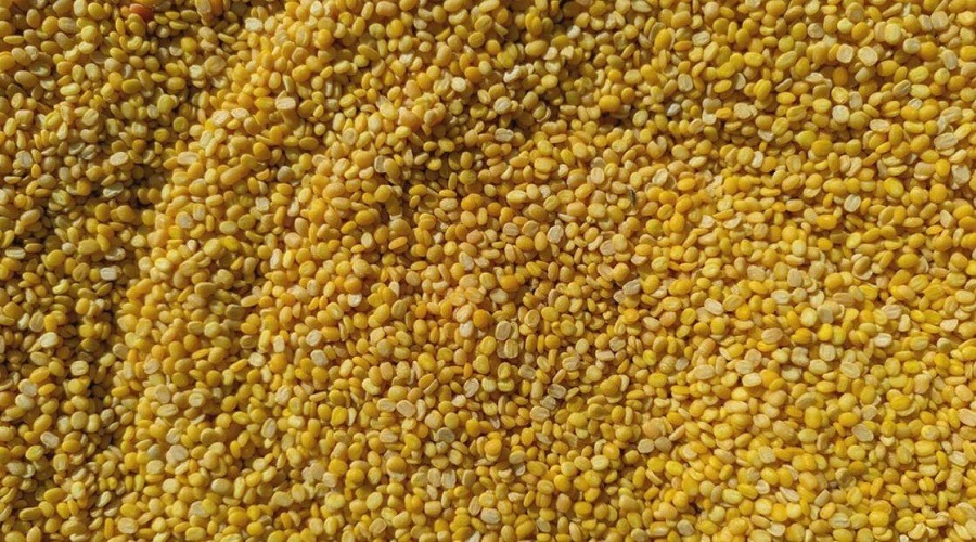 মুগ ডাল কেন ডায়াবেটিস রোগীদের জন্য ‘সুপারফুড’?