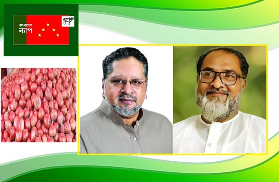 পেঁয়াজের বাজারে অস্থিরতা নিয়ন্ত্রনে পদক্ষেপ গ্রহন করুন : বাংলাদেশ ন্যাপ
