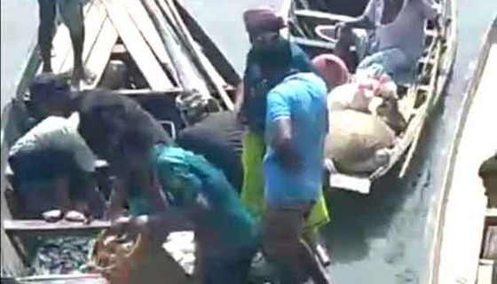 কিশোরগঞ্জের হাওরের কৃষি ও নদীর পাড়ের মানুষের জীবন জীবিকা