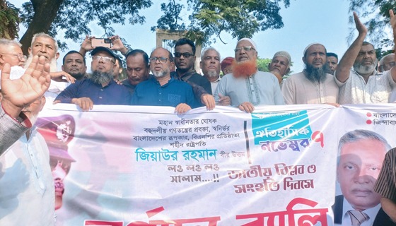 দৌলতখানে ৭ নভেম্বর উপলক্ষে বিএনপির বর্ণাঢ্য র‌্যালী