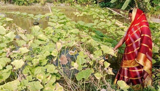 দৈন্যতা পেরিয়ে গৃহবধু স্মৃতিকনা এখন দাকোপের সফল নারী উদ্যোক্তা