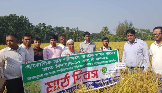 কাপাসিয়ায় প্রান্তিক কৃষক কৃষাণিদের নিয়ে মাঠ দিবস পালিত