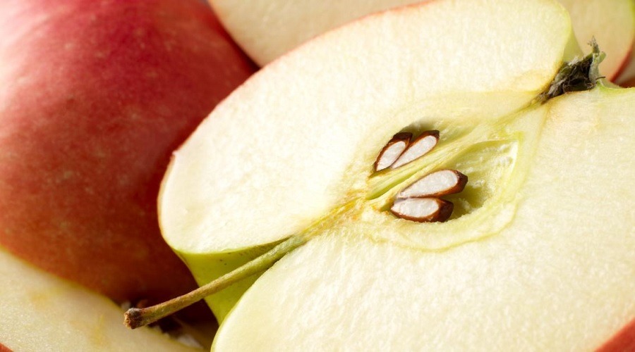 আপেলের বীজ কতটা বিষাক্ত? চিবিয়ে খেলে কী হতে পারে?