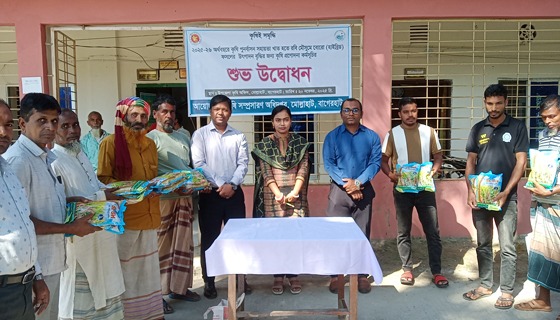 মোল্লাহাটে কৃষি প্রণোদনা কর্মসূচি ও প্রদর্শনী উপকরণ বিতরণ