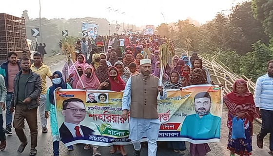 নড়াইল-২ আসনে ধানের শীষ প্রতিকে মনোনয়ন চেয়ে শাহরিয়ার রিজভীর সমাবেশ