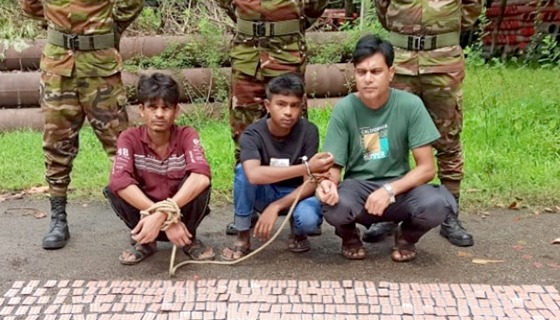 নওগাঁয় ছয় হাজার ট্যাপেন্টাডলসহ আটক ৩