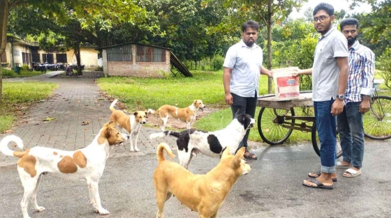 রাবিতে পশু-পাখির সেবায়  ছাত্রদল প্যানেল