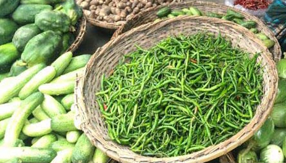 বাঘায় খুরচায় কাঁচা মরিজ প্রতিকেজি ৩২০ টাকা